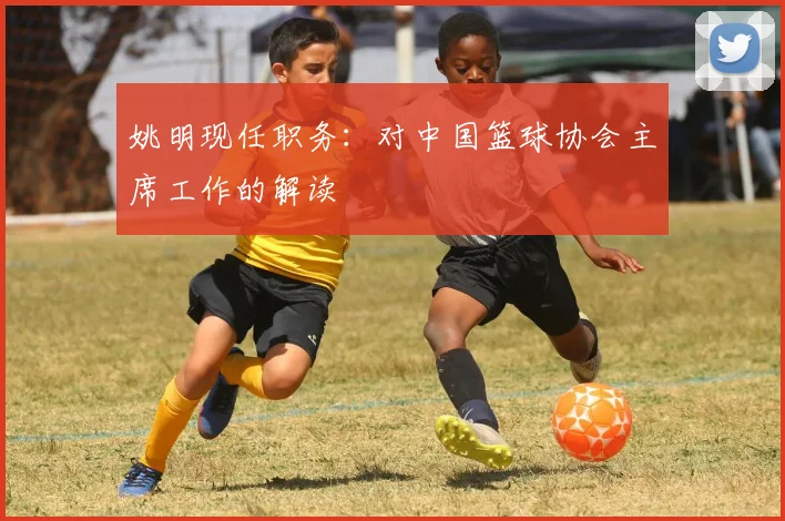 姚明现任职务:对中国篮球协会主席工作的解读