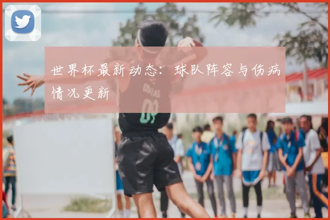 世界杯最新动态：球队阵容与伤病情况更新
