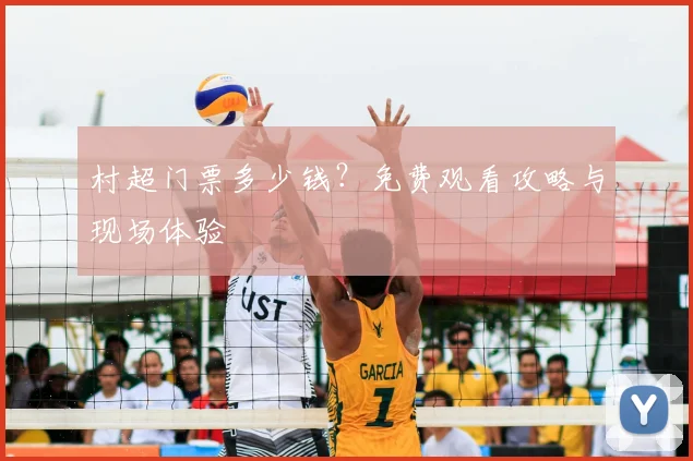 村超门票多少钱？免费观看攻略与现场体验